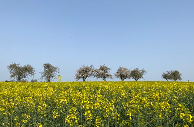 Herzliche Einladung zum Grünen-Treffen am Mittwoch, 18.9.