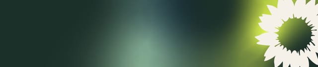 Einladung zum Grünen-Treffen